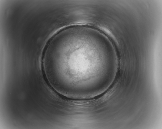 X0000088741412200705311439