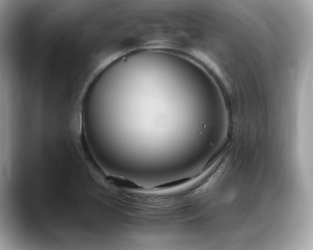 X0000088741413200705311439