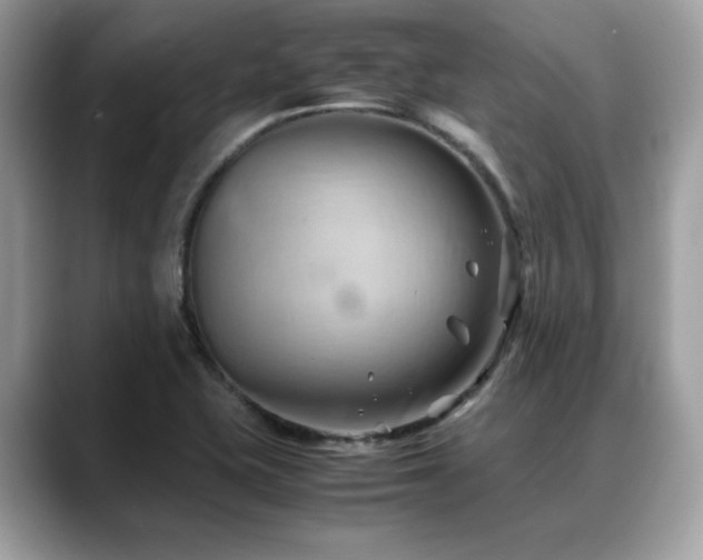 X0000088741415200705311439