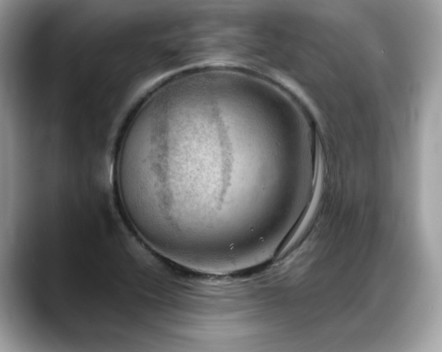 X0000088741416200705311439