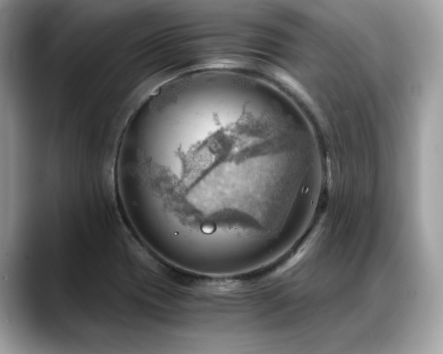 X0000088741417200705311439