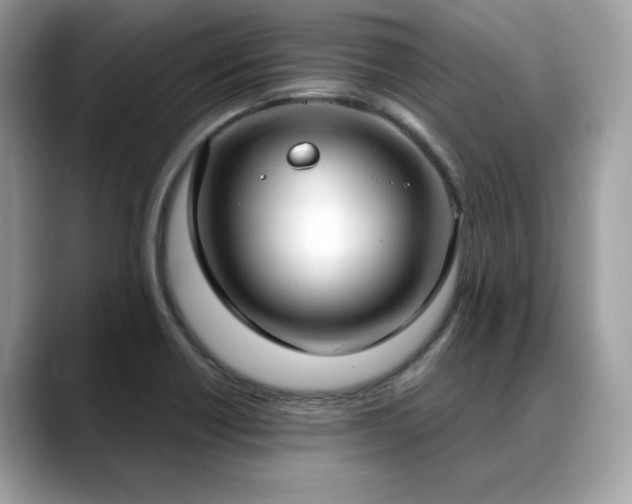 X0000088741418200705311439