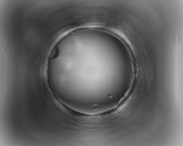 X0000088741421200705311439