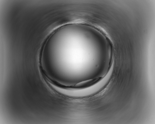 X0000088741422200705311439