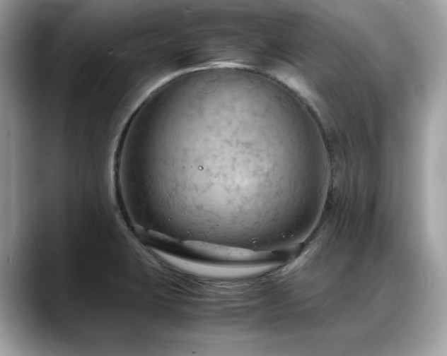 X0000088741423200705311439