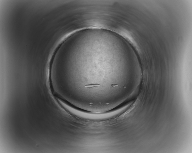 X0000088741424200705311439