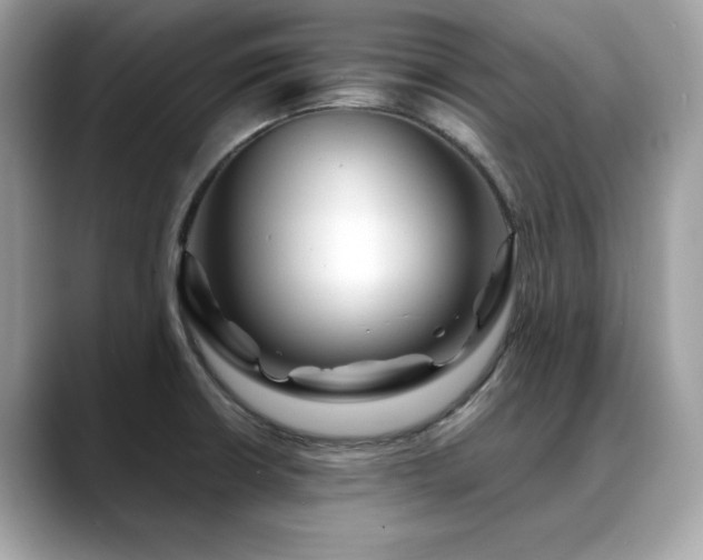 X0000088741426200705311439