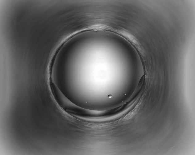 X0000088741430200705311439