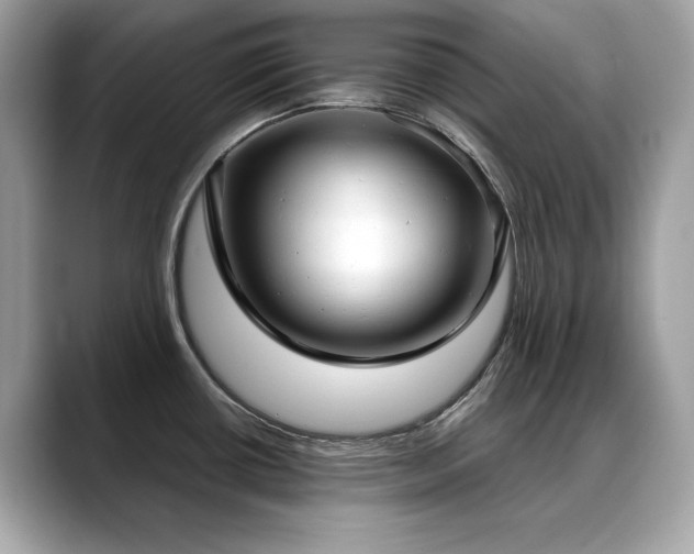 X0000088741434200705311439