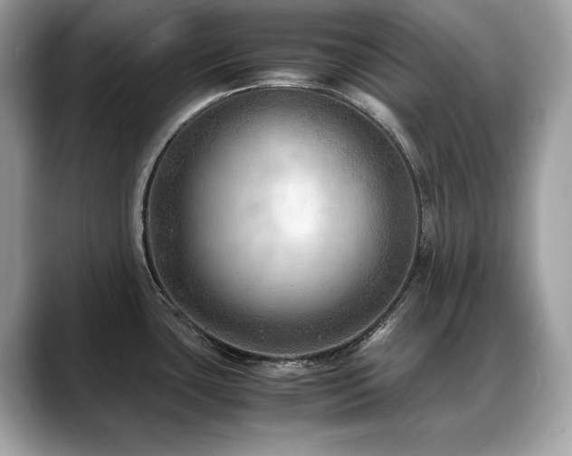 X0000088741435200705311439