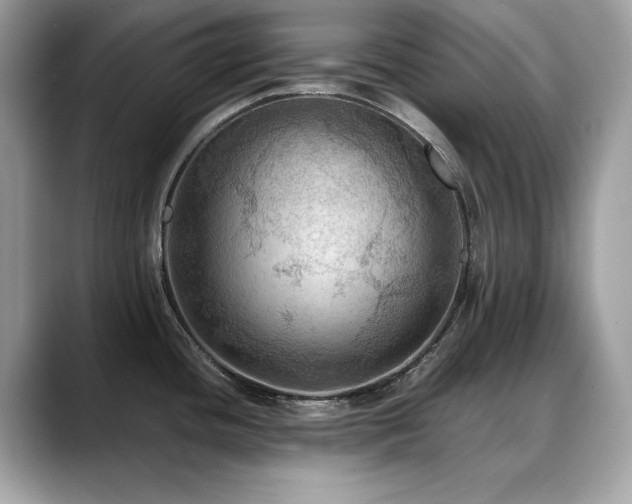 X0000088741436200705311439
