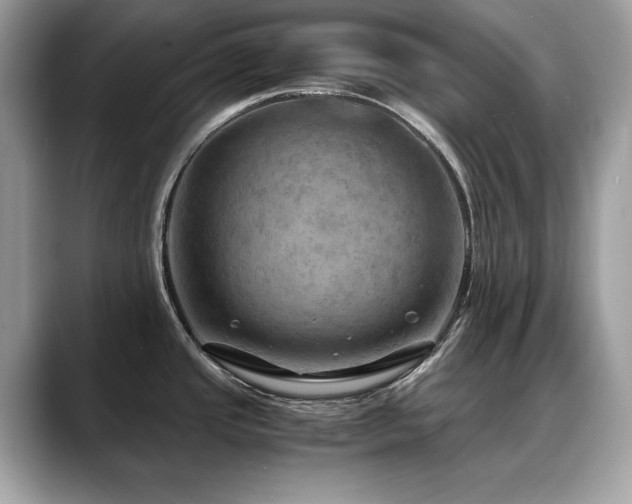 X0000088741437200705311439
