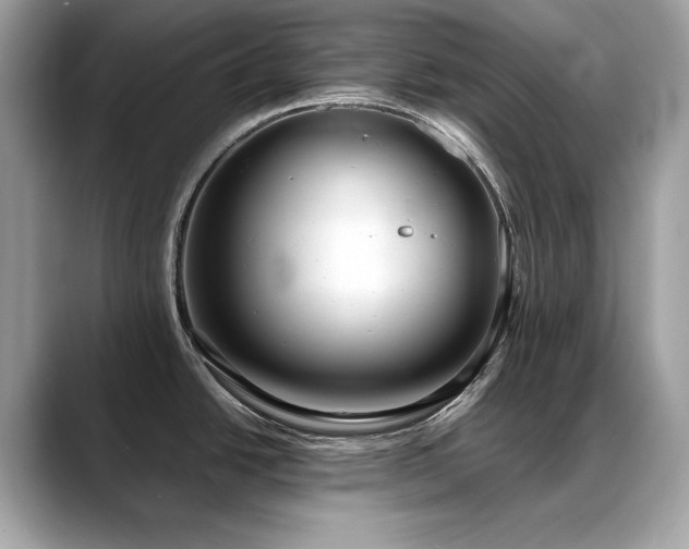 X0000088741438200705311439