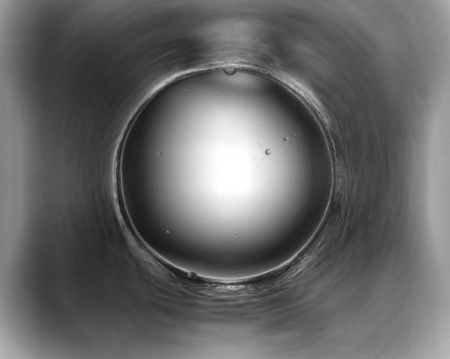 X0000088741439200705311439