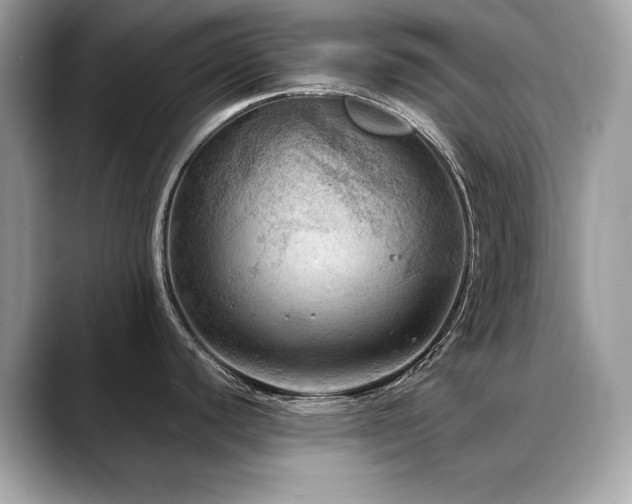 X0000088741440200705311439
