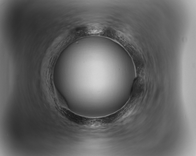 X0000088741441200705311439