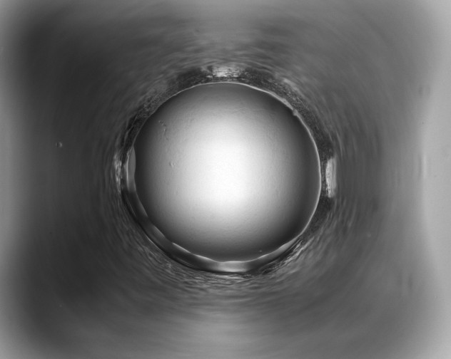 X0000088741443200705311439