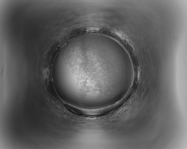 X0000088741445200705311439