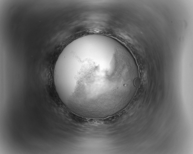 X0000088741446200705311438