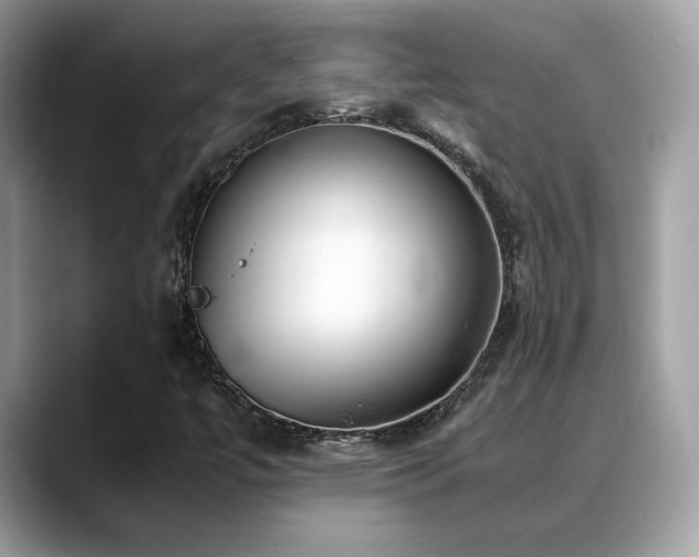 X0000088741447200705311438