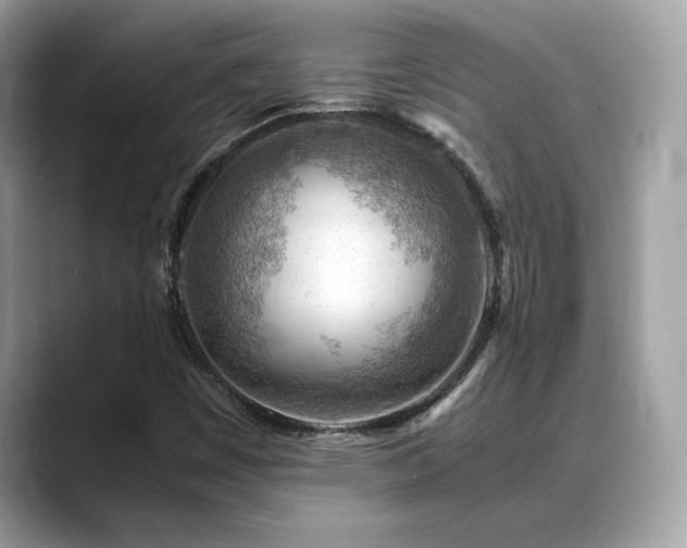 X0000088741449200705311438