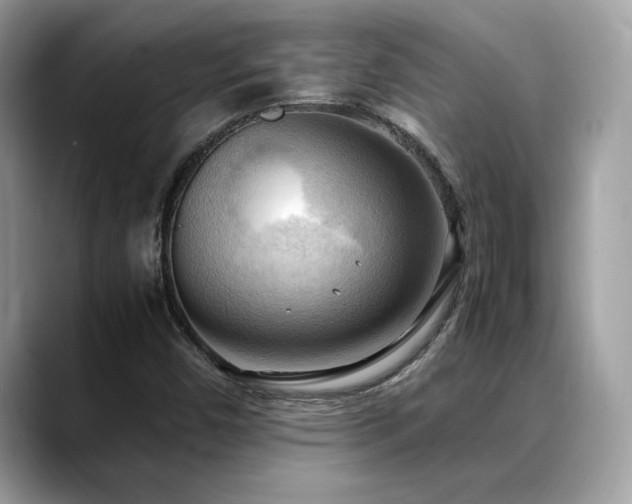 X0000088741450200705311438