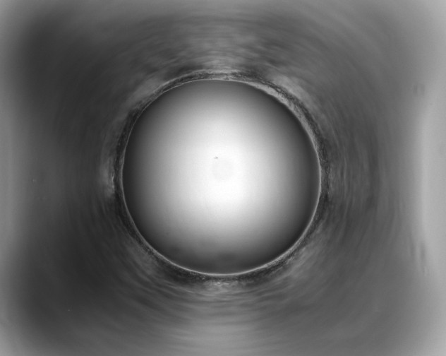 X0000088741451200705311438