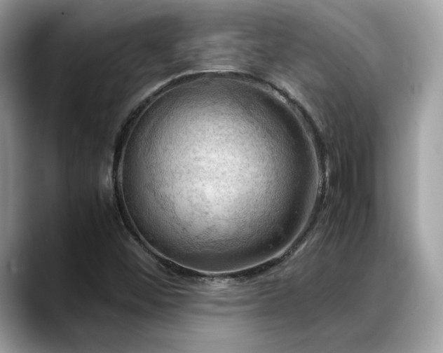 X0000088741452200705311438