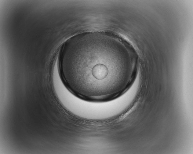 X0000088741453200705311438