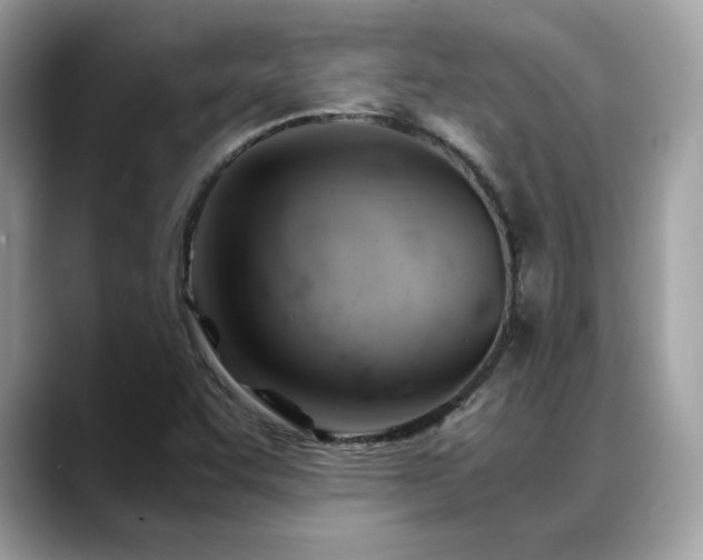 X0000088741455200705311438