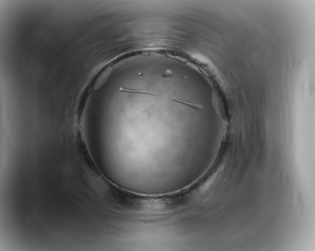 X0000088741457200705311438