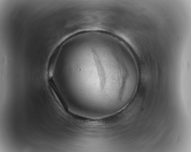 X0000088741460200705311438