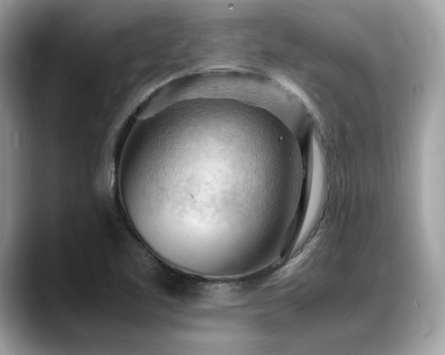 X0000088741461200705311438