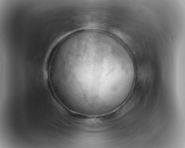 X0000088741462200705311438