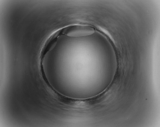 X0000088741463200705311438