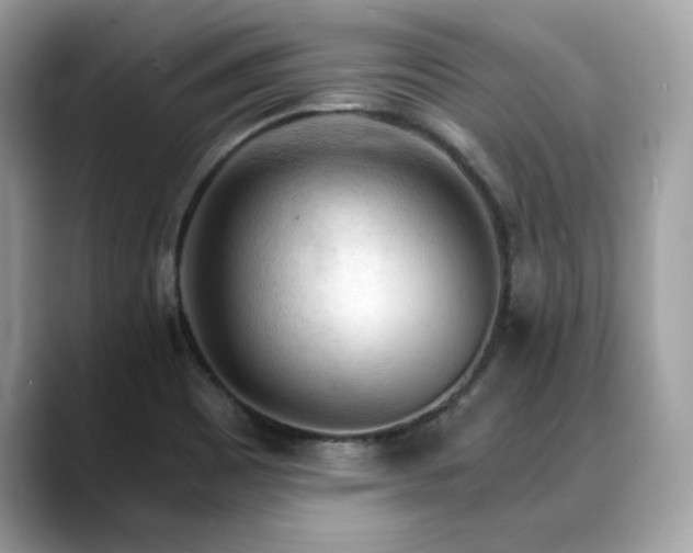 X0000088741465200705311438