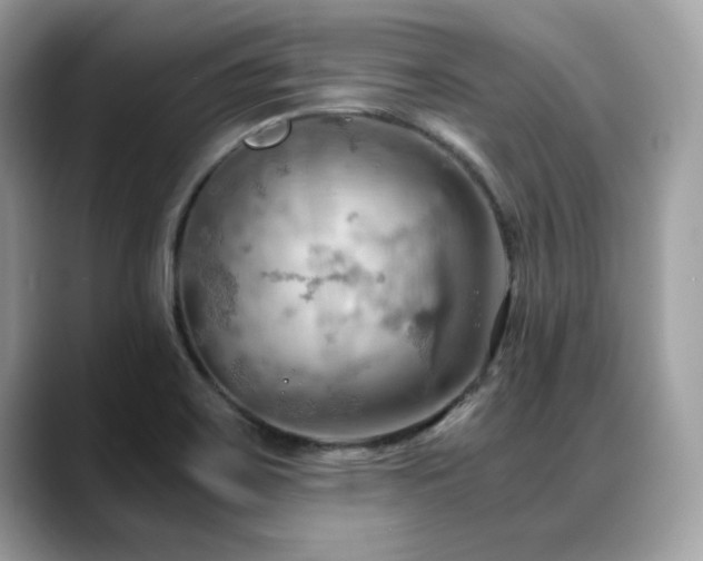 X0000088741467200705311438