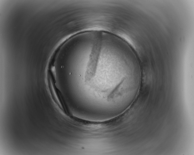 X0000088741468200705311438