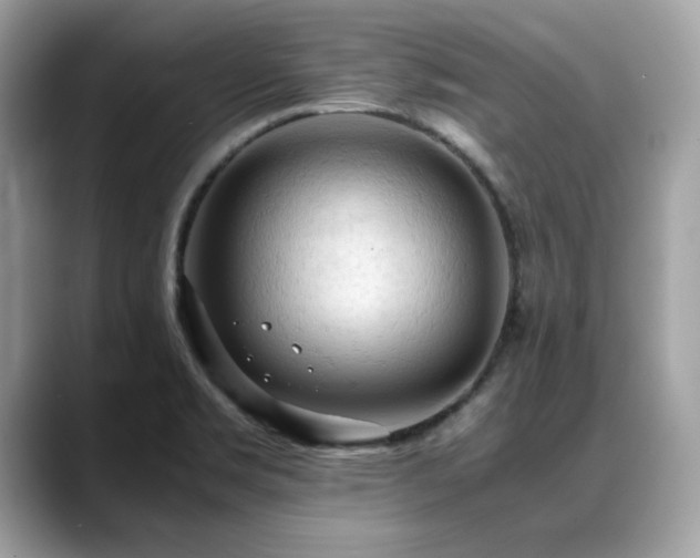 X0000088741469200705311438
