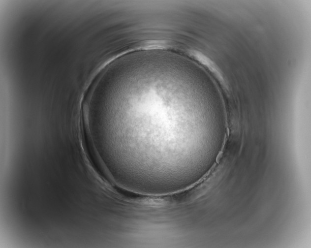 X0000088741473200705311438