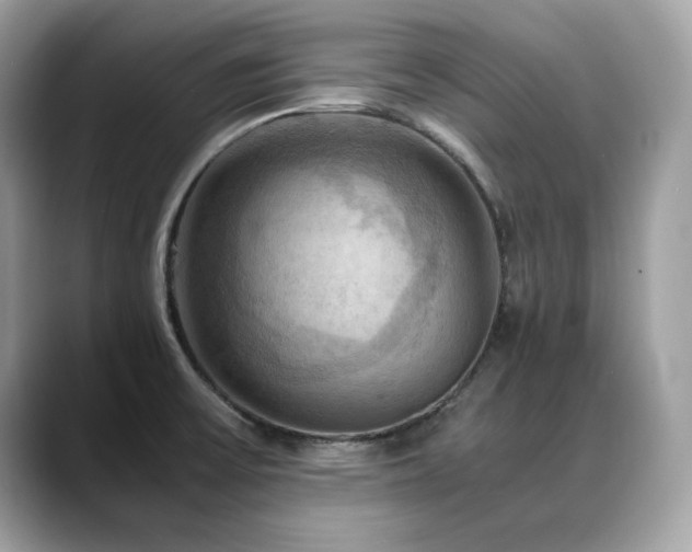 X0000088741475200705311438