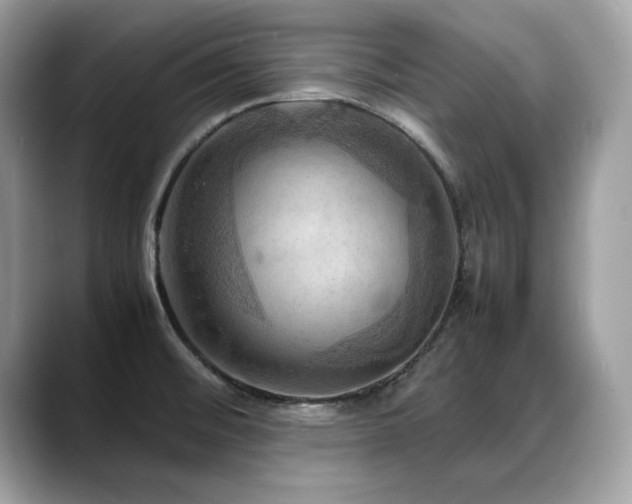 X0000088741476200705311438