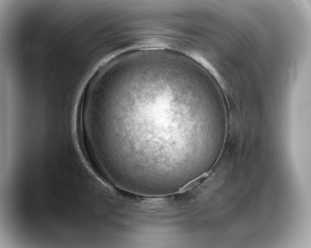 X0000088741477200705311438