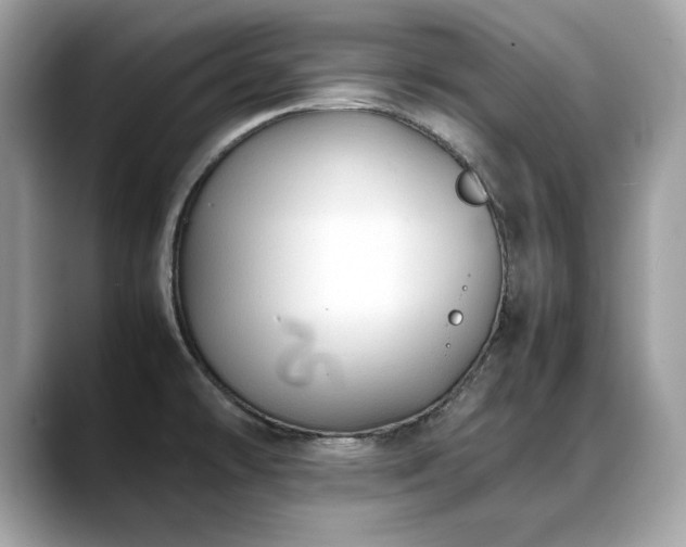 X0000088741478200705311438