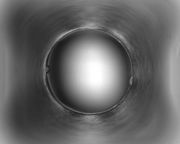 X0000088741479200705311438