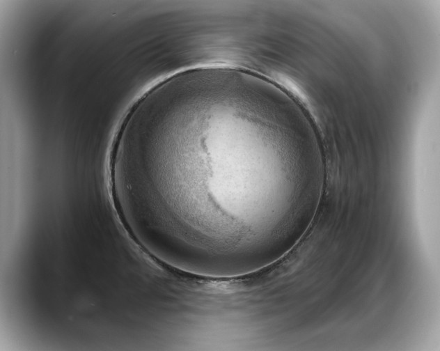 X0000088741480200705311438