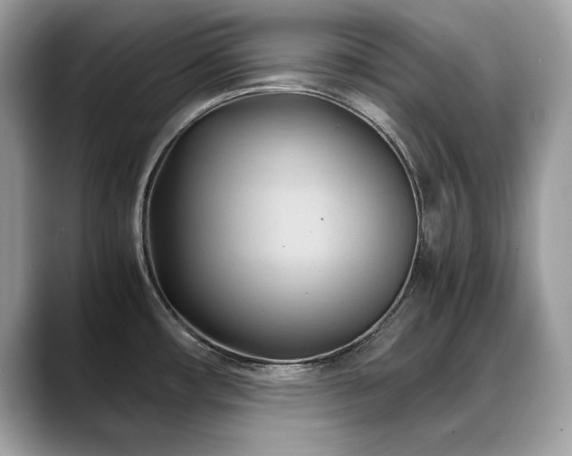 X0000088741482200705311438