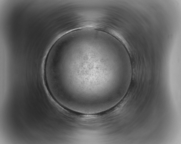 X0000088741483200705311438