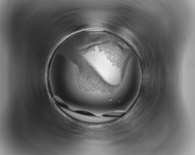 X0000088741484200705311438