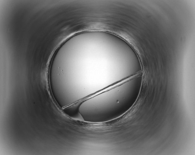 X0000088741486200705311438
